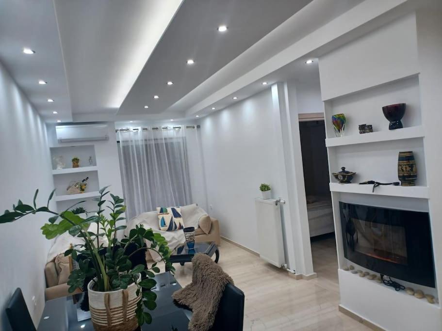 Cozy Renovated Apartment Athènes Extérieur photo